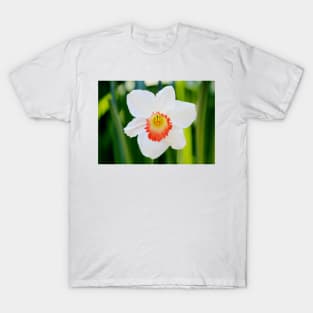 White Daffodil T-Shirt